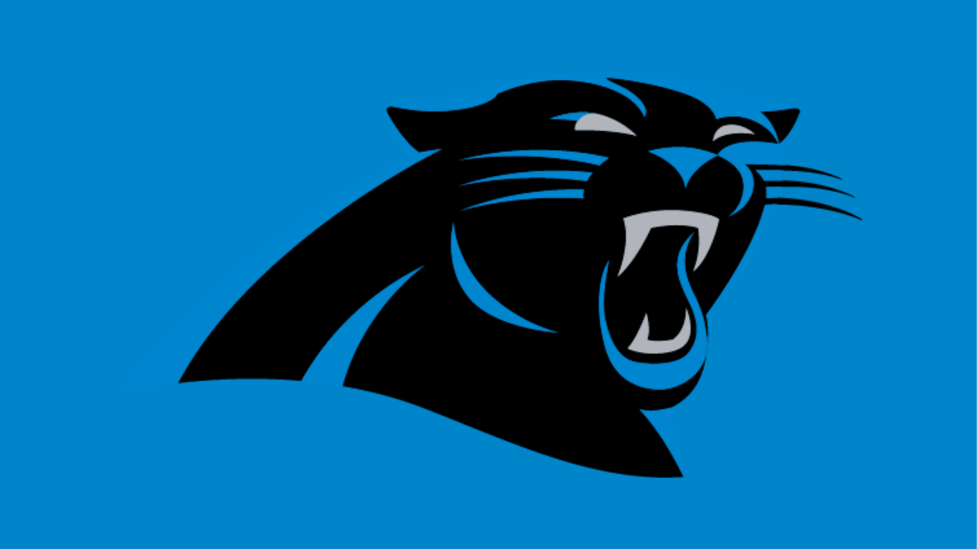 The Stadium Insiders Carolina Panthers Schedule Scout