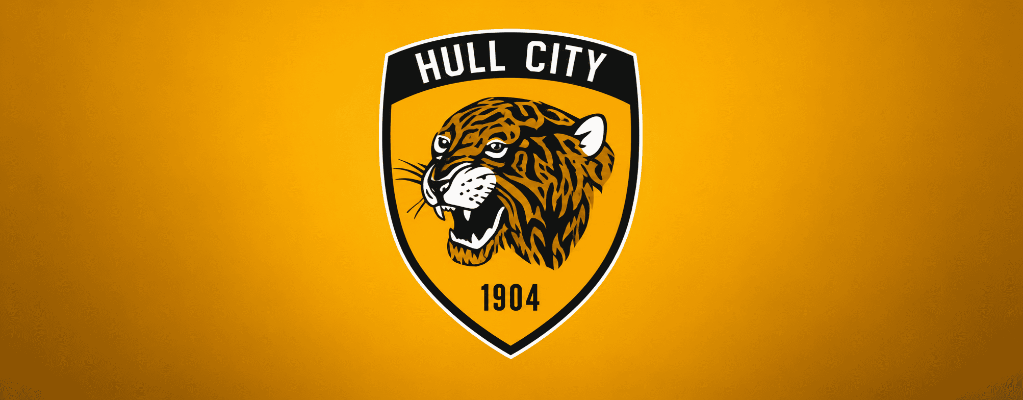 Hull City Hull City