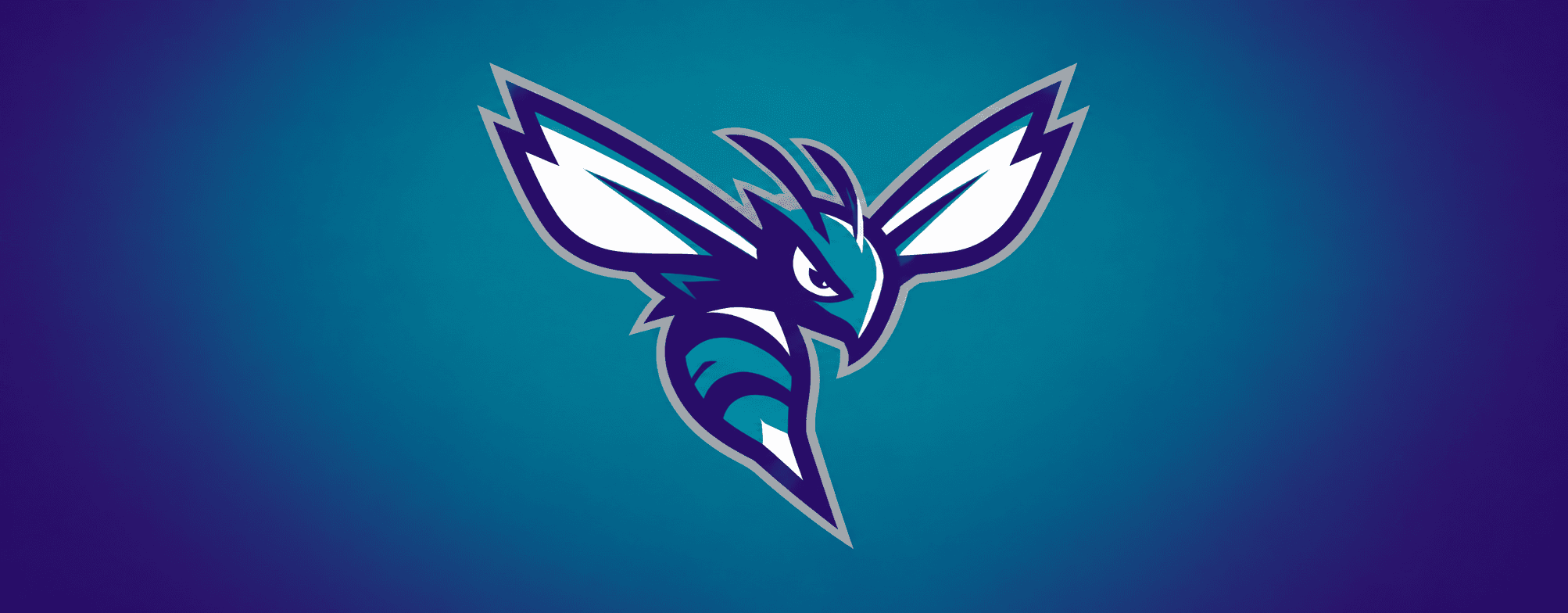 Charlotte Hornets
