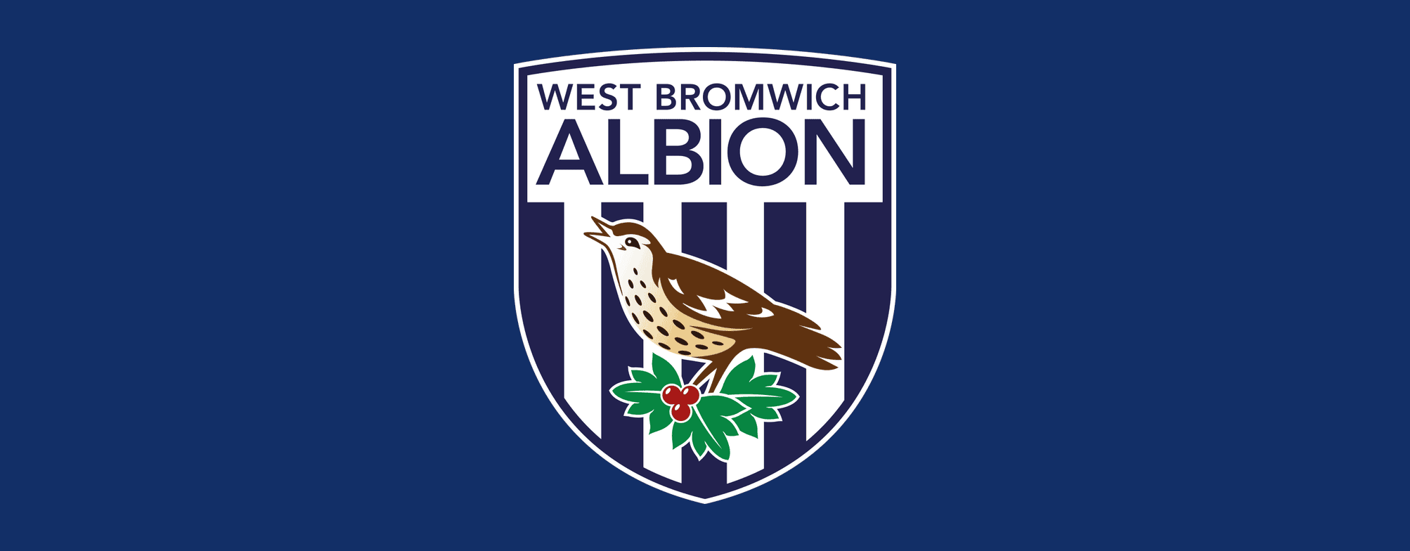 West Bromwich Albion