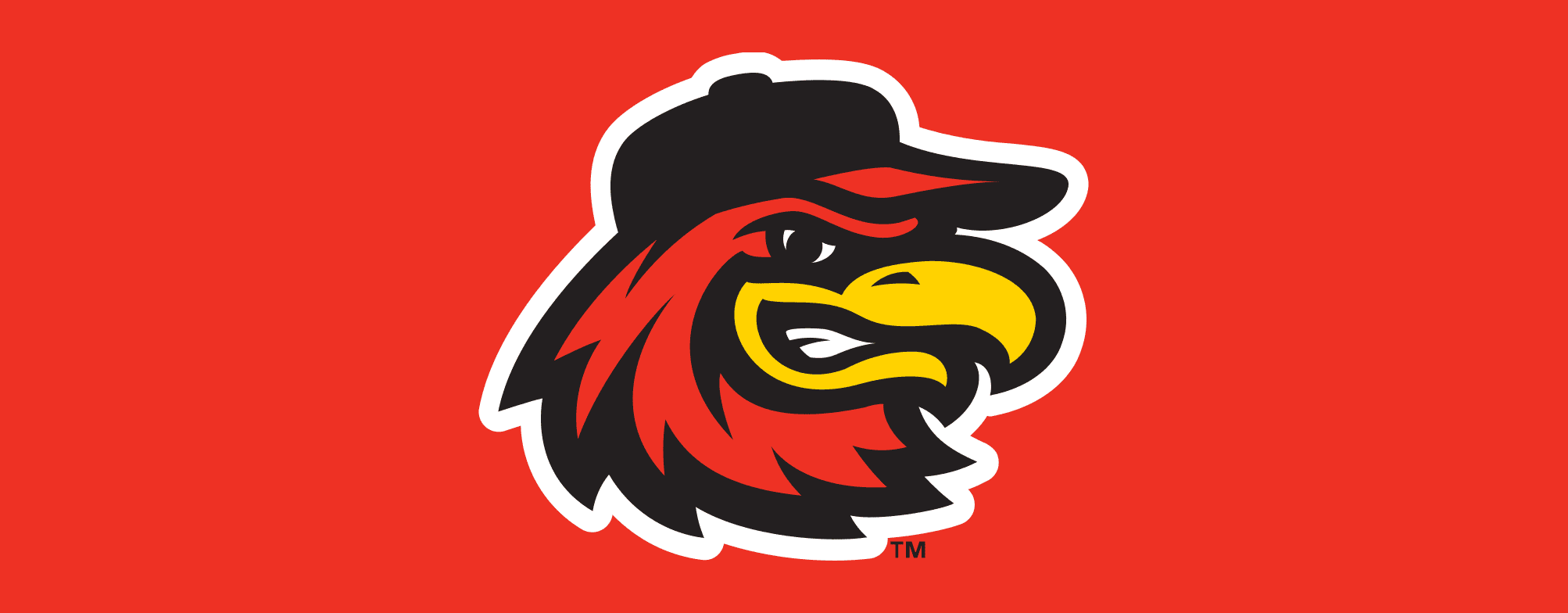 Rochester Red Wings